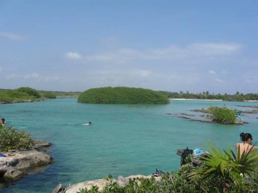 13220676_1685307148387598_1657349830605497020_o