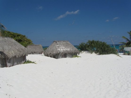 23626_366665707090_3401989_n